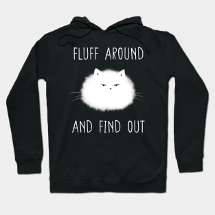 Fluff Around and Find Out Hoodie